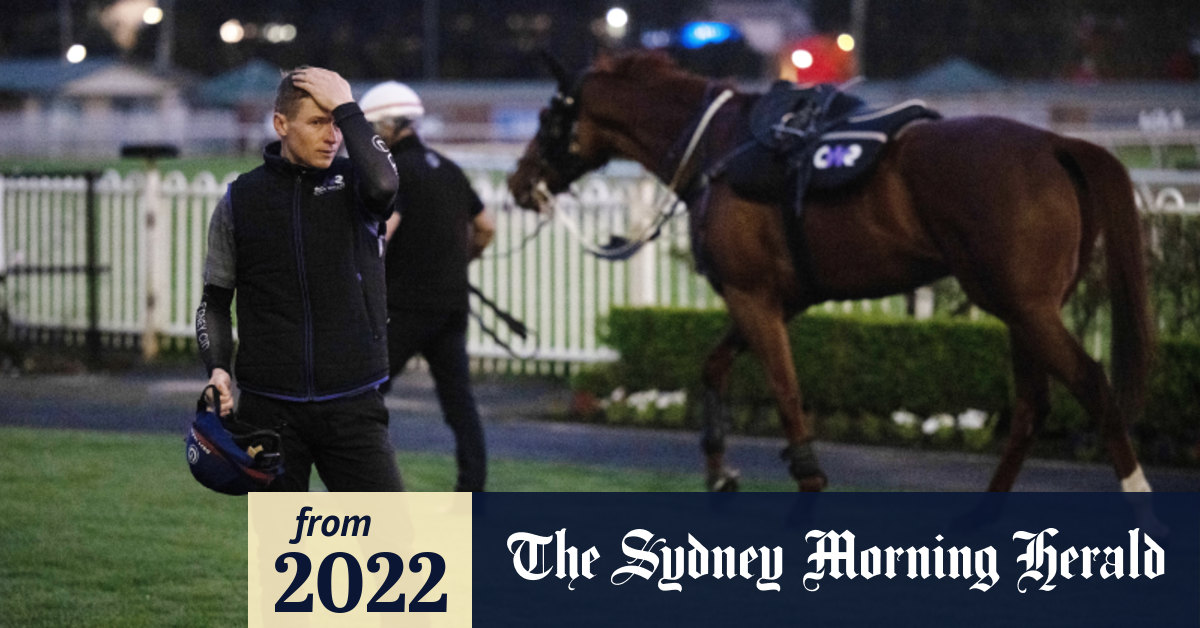 The Everest 2022 Nature Strip jockey James McDonald could lift